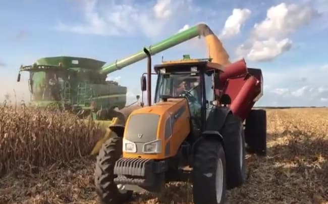 Mejoraron los márgenes agrícolas, pero producir en campo alquilado sigue dejando números muy ajustados