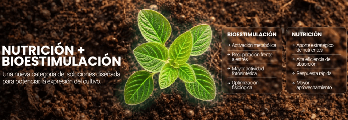 Rizobacter lanza Rizopower, una nueva generación de foliares inteligentes que integra nutrición y bioestimulación