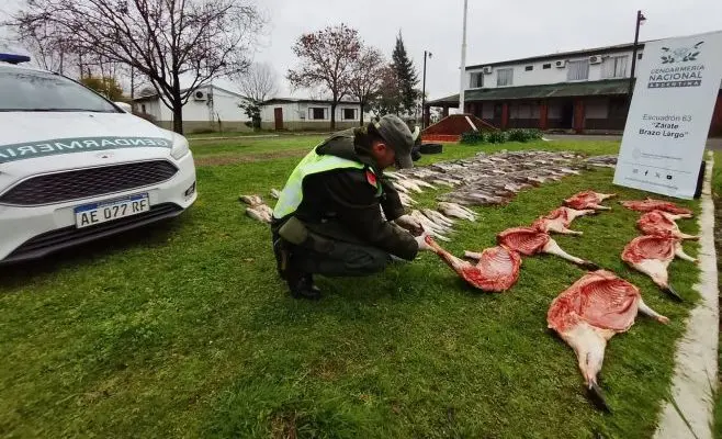 Zárate: Decomisan fauna silvestre y más de 12.000 atados de cigarrillos