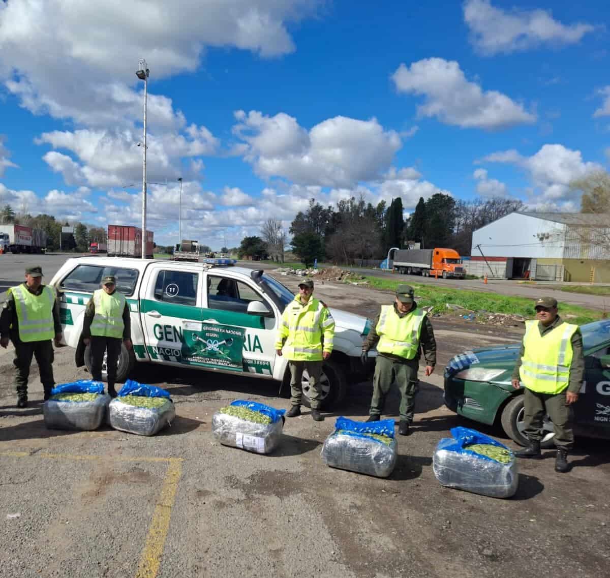 Zárate: Gendarmería secuestró 115 kilos de hojas de coca durante un control