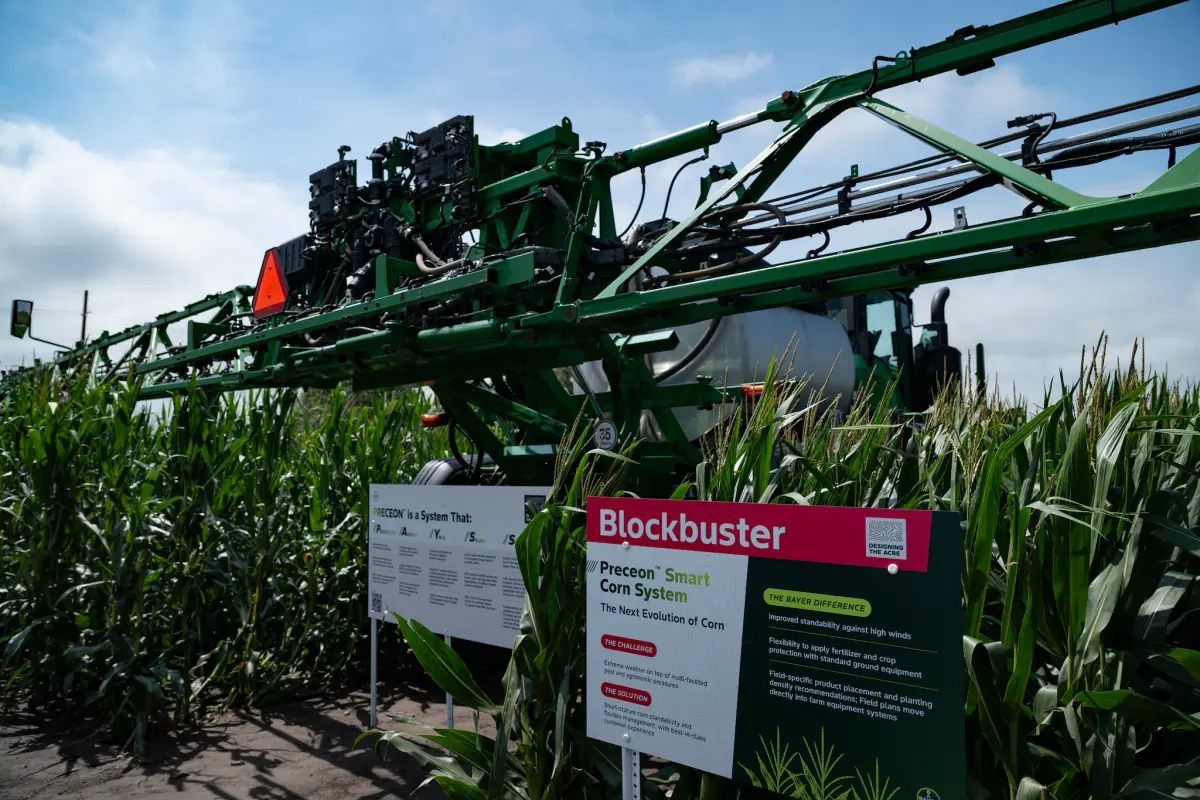 Bayer acelera su nueva generación tecnológica: maíz de baja estatura, soja editada e inteligencia artificial