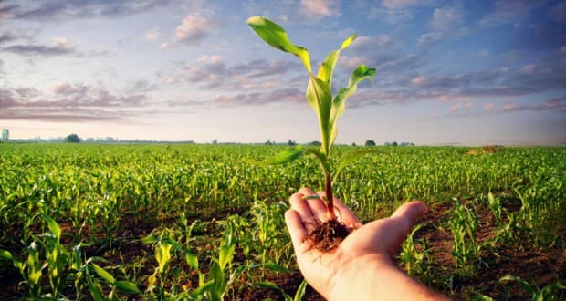 El campo inicia la campaña gruesa con el seguro como una herramienta clave frente a riesgos climáticos