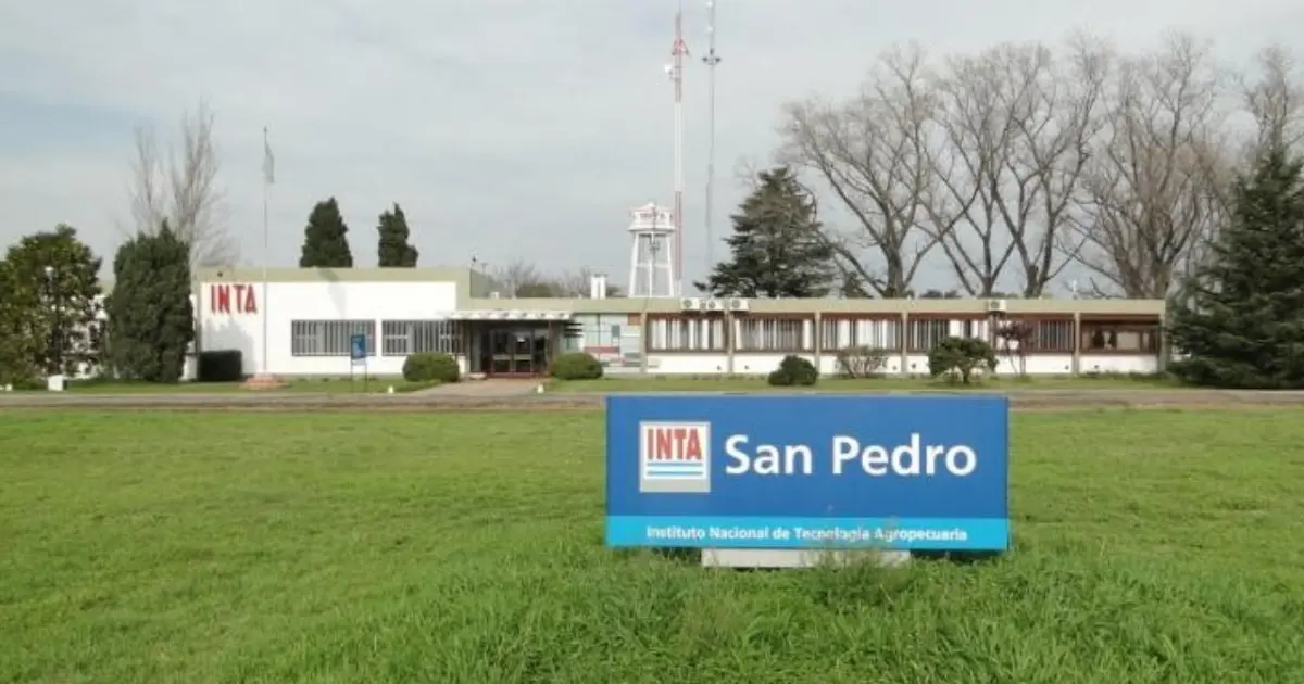 El INTA San Pedro advierte por posibles heladas durante las noches del fin de semana