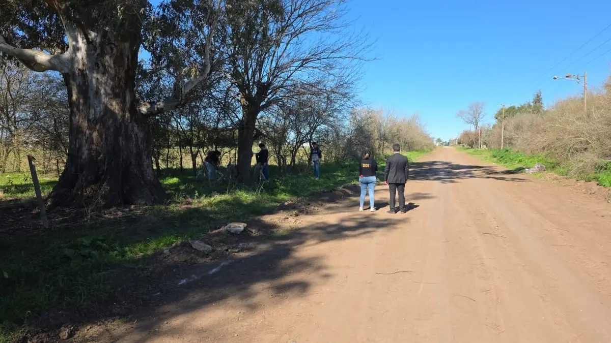 Gran despliegue policial y judicial por el robo de cables en la zona sur terminó con un detenido