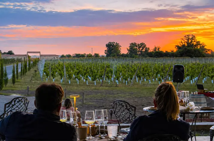 Primavera entre viñedos: las mejores bodegas bonaerenses para una escapada de fin de semana