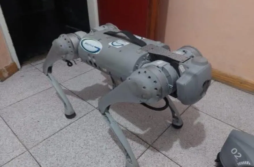 Ramallo: Estudiantes de Pérez Millán construyeron su propio robot y lograron un cuarto puesto nacional