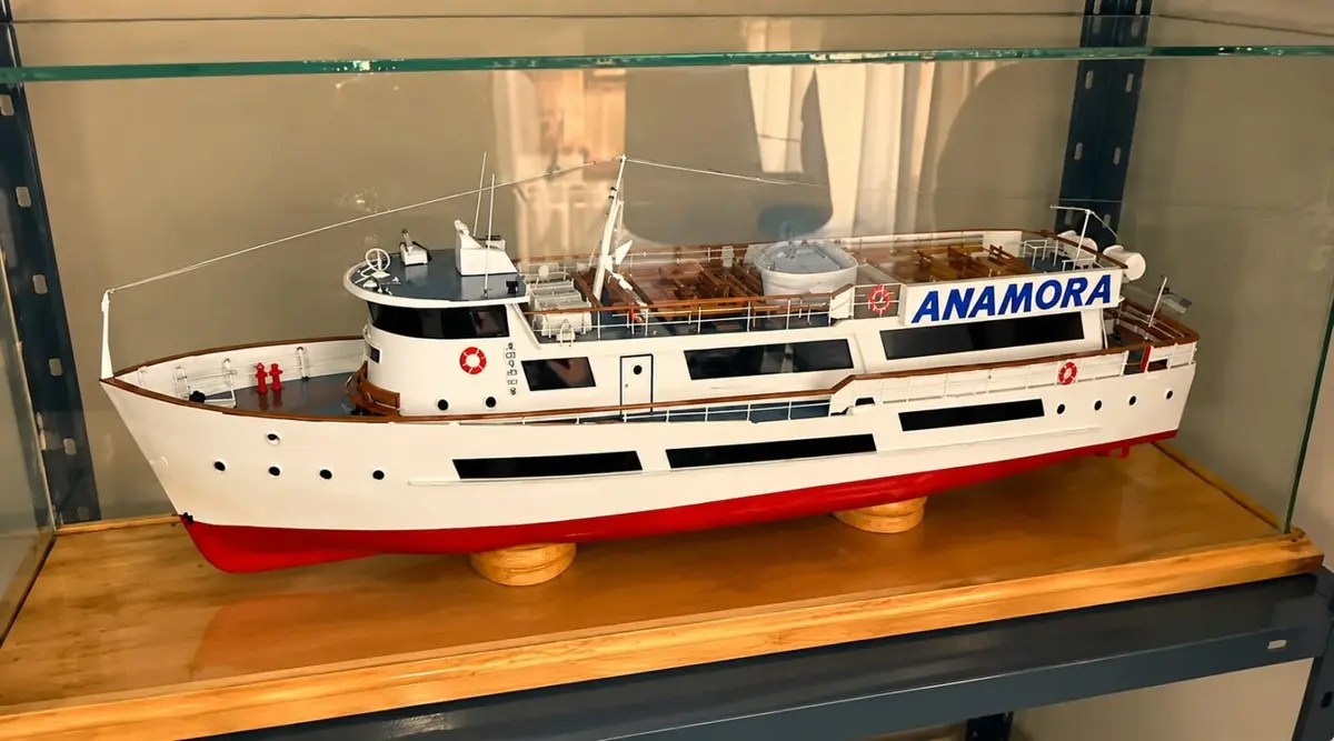 Hay más de 30 barcos alrededor de Hernán. Son distintos entre sí: cambian las dimensiones, las estructuras, los colores y también las épocas. Algunos nacieron de planos; otros tuvieron que ser reconstruidos mirando fotografías. Pero todos comparten algo: fueron hechos a mano y a escala.