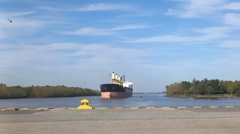 San Pedro: El buque Eliki cargará 4.200 toneladas de carinata en el puerto con destino a Portugal