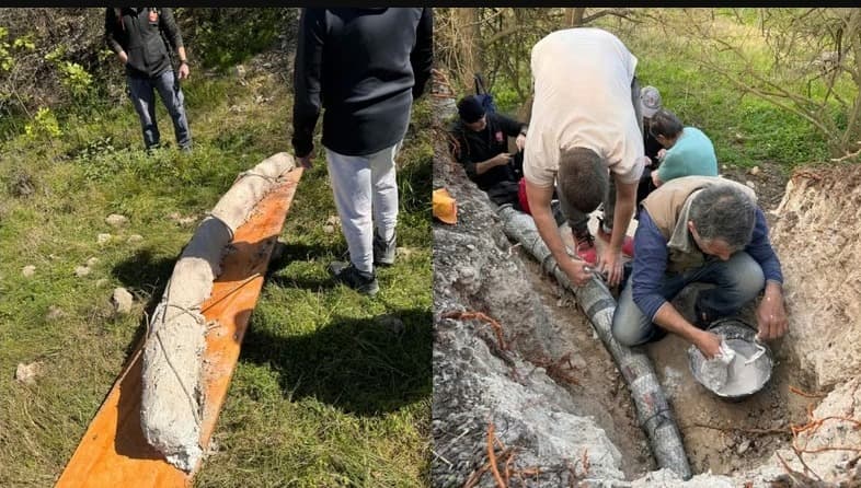 San Pedro tiene la defensa de mastodonte más larga y mejor preservada de Sudamérica