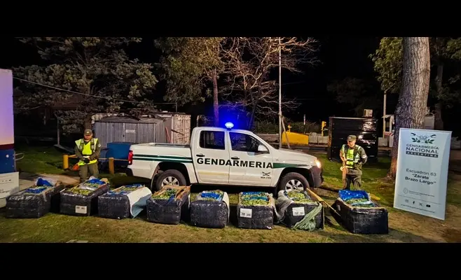 Zárate: en la Ruta 9 secuestraron casi 360 kilos de hojas de coca en un transporte de encomiendas