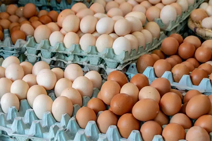Argentina lidera el consumo mundial de huevo: opción de bajo costo para ingerir proteína animal