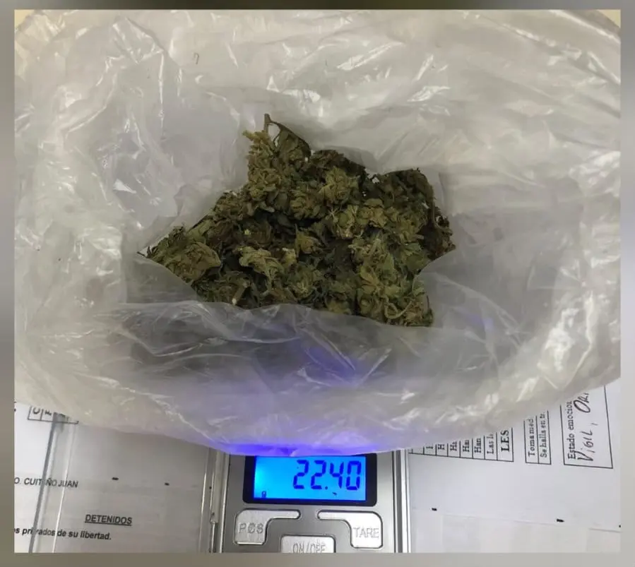 Interceptaron a un individuo que ocultaba una bolsa con cogollos de marihuana