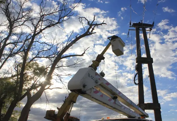 La Cooperativa Eléctrica profundiza obras y prepara sus redes para el próximo verano