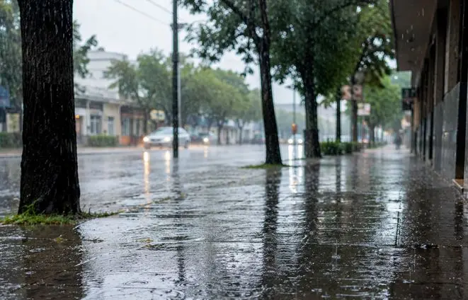 ¿Qué primavera tendrá Pergamino? El SMN anticipa más lluvias y temperaturas por debajo de lo habitual