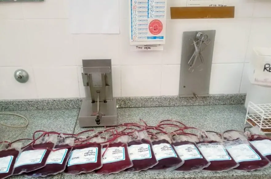 Ramallo: Hospital Gomendio, el trabajo del Servicio de Hemoterapia para garantizar cada transfusión