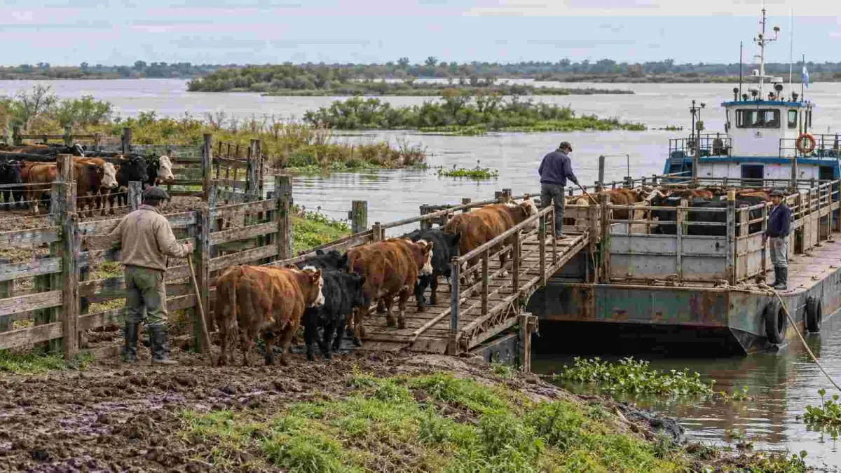La entidad rural pidió a Cecilio Salazar que convoque a la Comisión de Emergencia Local ante el riesgo de anegamientos que afecta a unos 120 productores ganaderos de la región.