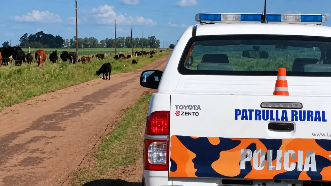 San Pedro: Siete animales fueron robados y faenados en un campo cercano a Villa Sarita
